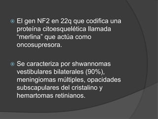  El gen NF2 en 22q que codifica una
proteína citoesquelética llamada
“merlina” que actúa como
oncosupresora.
 Se caracteriza por shwannomas
vestibulares bilaterales (90%),
meningiomas múltiples, opacidades
subscapulares del cristalino y
hemartomas retinianos.
 