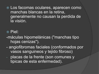  Los facomas oculares, aparecen como
manchas blancas en la retina,
generalmente no causan la perdida de
la visión.
 Piel:
-máculas hipomelánicas ("manchas tipo
hojas cenizas").
- angiofibromas faciales (conformados por
vasos sanguineos y tejido fibroso)
- placas de la frente (son comunes y
tipicas de esta enfermedad).
 