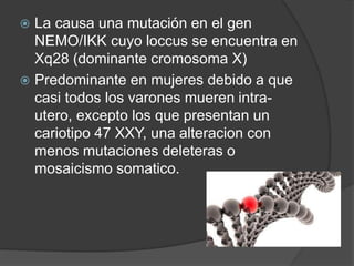  La causa una mutación en el gen
NEMO/IKK cuyo loccus se encuentra en
Xq28 (dominante cromosoma X)
 Predominante en mujeres debido a que
casi todos los varones mueren intra-
utero, excepto los que presentan un
cariotipo 47 XXY, una alteracion con
menos mutaciones deleteras o
mosaicismo somatico.
 