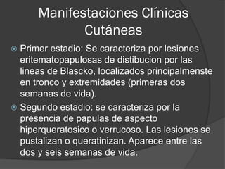 Manifestaciones Clínicas
Cutáneas
 Primer estadio: Se caracteriza por lesiones
eritematopapulosas de distibucion por las
lineas de Blascko, localizados principalmenste
en tronco y extremidades (primeras dos
semanas de vida).
 Segundo estadio: se caracteriza por la
presencia de papulas de aspecto
hiperqueratosico o verrucoso. Las lesiones se
pustalizan o queratinizan. Aparece entre las
dos y seis semanas de vida.
 
