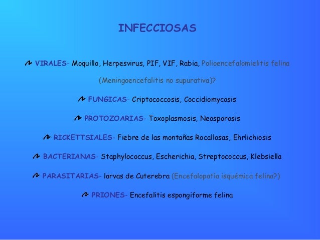 Vasculitis primaria del snc pdf converter