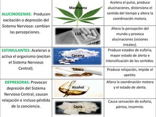 Marihuana

ALUCINOGENAS: Producen
excitación o depresión del
Sistema Nervioso: cambian
las percepciones.

ESTIMULANTES: Aceleran o
activa el organismo (excitan
el Sistema Nervioso
Central).
DEPRESORAS: Provocan
depresión del Sistema
Nervioso Central; causan
relajación e incluso pérdida
de la conciencia.

LSD

Cocaína

Tabaco

Acelera el pulso, produce
alucinaciones, distorsiona el
sentido del tiempo y altera la
coordinación motora.

Altera la percepción del
mundo y provoca
alucinaciones (visiones
irreales).
Produce estados de euforia,
mayor estado de alerta e
intensificación de los sentidos.
Produce relajación, impide el
apetito.

Alcohol

Altera la coordinación motora
y el estado de alerta.

Crack

Causa sensación de euforia,
pánico, insomnio.

 