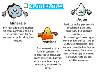  NUTRIENTRES
Participa en los procesos de
circulación, digestión,
Son reguladores de muchos
excreción, disolución de
procesos orgánicos, como la
sustancias…
contracción muscular. Se
Se puede ingerir como agua
encuentran en la sal, leche y
mineral. También se halla en
huevos.
las frutas ( melocotón, piña,
melones, sandía, frambuesa,
Son necesarios para
ciruela, naranja, frambuesa…)
formar, conservar y
reparar los tejidos. Están y las verduras (apio, pepino,
en las carnes, los huevos, lechuga, tomate brócoli,
coliflor, espinaca)
el pescado, la leche y sus
derivados, los frijoles, la
soya.

 