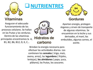  NUTRIENTRES
Aseguran el adecuado
funcionamiento de los
procesos celulares. Se hallan
en las frutas y las verduras.
Dentro de las vitaminas
principales encontramos la A,
B1, B2, B6, B12, D, K, C…

Aportan energía, protegen
órganos y sirven de transporte
de algunas vitaminas. Se
encuentran en la leche y sus
derivados, el maní, los
embutidos, algunas carnes, el
aceite.

Brindan la energía necesaria para
efectuar las actividades diarias. Los
contienen los cereales ( trigo, maíz,
avena, arroz), las legumbres ( frijoles,
lentejas), los almidones ( papa, yuca,
plátano), las frutas, los azucares.

 