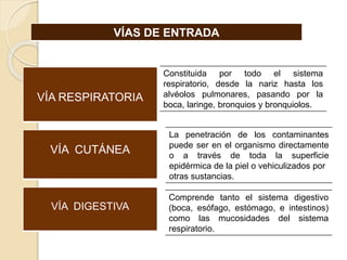 VÍAS DE ENTRADA
Constituida por todo el sistema
respiratorio, desde la nariz hasta los
alvéolos pulmonares, pasando por la
boca, laringe, bronquios y bronquiolos.
Comprende tanto el sistema digestivo
(boca, esófago, estómago, e intestinos)
como las mucosidades del sistema
respiratorio.
VÍA RESPIRATORIA
VÍA CUTÁNEA
VÍA DIGESTIVA
La penetración de los contaminantes
puede ser en el organismo directamente
o a través de toda la superficie
epidérmica de la piel o vehiculizados por
otras sustancias.
 