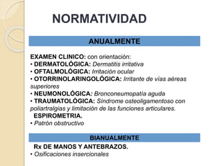 NORMATIVIDAD
ANUALMENTE
EXAMEN CLINICO: con orientación:
• DERMATOLÓGICA: Dermatitis irritativa
• OFTALMOLÓGICA: Irritación ocular
• OTORRINOLARINGOLÓGICA: Irritante de vías aéreas
superiores
• NEUMONOLÓGICA: Bronconeumopatía aguda
• TRAUMATOLÓGICA: Síndrome osteoligamentoso con
poliartralgias y limitación de las funciones articulares.
ESPIROMETRIA.
• Patrón obstructivo
BIANUALMENTE
Rx DE MANOS Y ANTEBRAZOS.
• Osificaciones insercionales
 