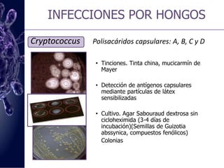 INFECCIONES POR HONGOSCandida   Aparato digestivo, piel y mucosas.Examen en fresco con KOH al 10%Tinciones (Plata-meteneamina de Gomori, Giemsa, Gram, PAS)Métodos inmunológicos (Detección de antígenos por aglutinación en látex, fenómeno de Prozona)	Cultivo (Sabouraud) 48-72h	