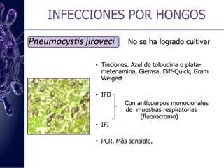 INFECCIONES POR HONGOSCryptococcusPolisacáridos capsulares: A, B, C y DTinciones. Tinta china, mucicarmín de MayerDetección de antígenos capsulares mediante partículas de látex sensibilizadas	Cultivo. AgarSabouraud dextrosa sin cicloheximida (3-4 días de incubación)(Semillas de Guizotiaabssynica, compuestos fenólicos)	Colonias