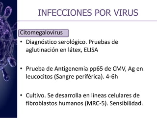 INFECCIONES POR HONGOSPneumocystisjiroveciNo se ha logrado cultivarTinciones. Azul de toloudina o plata-metenamina, Giemsa, Diff-Quick, GramWeigertIFD               Con anticuerpos monoclonales	    de  muestras respiratorias  			(fluorocromo)IFIPCR. Más sensible.
