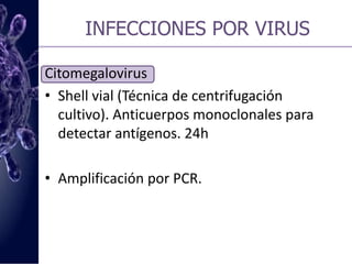 INFECCIONES POR VIRUSCitomegalovirusDiagnóstico serológico. Pruebas de aglutinación en látex, ELISAPrueba de Antigenemia pp65 de CMV, Ag en leucocitos (Sangre periférica). 4-6hCultivo. Se desarrolla en líneas celulares de fibroblastos humanos (MRC-5). Sensibilidad.