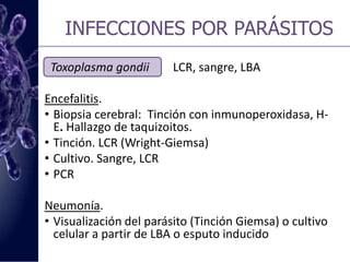 INFECCIONES POR VIRUSCitomegalovirusShell vial (Técnica de centrifugación cultivo). Anticuerpos monoclonales para detectar antígenos. 24hAmplificación por PCR.