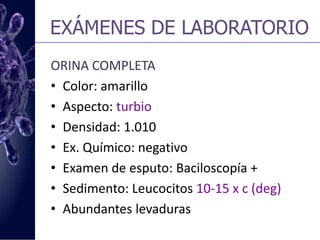 EXÁMENES DE LABORATORIOBIOQUÍMICAGlucosa (90mg/dl)70-110mg/dlÚrea (34 mg/dl)20-40mg/dl