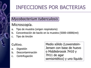 INFECCIONES POR BACTERIASMycobacterium tuberculosis Microscopía.   Tipo de muestra (origen respiratorio)   Concentración de bacilo en la muestra (5000-10000/ml)   Tipo de tinciónCultivo.                                    DigestiónDescontaminaciónCentrifugaciónMedio sólido (Lowenstein-Jensen con base de huevo o Middlebroook 7H10 y 7H11 de agarsemisintético) y uno líquido