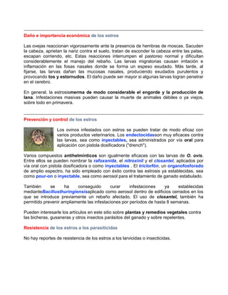 Daño e importancia económica de los estros
Las ovejas reaccionan vigorosamente ante la presencia de hembras de moscas. Sacuden
la cabeza, aprietan la nariz contra el suelo, tratan de esconder la cabeza entre las patas,
escapan corriendo, etc. Estas reacciones interrumpen el pastoreo normal y dificultan
considerablemente el manejo del rebaño. Las larvas migratorias causan irritación e
inflamación en las fosas nasales donde se forma un espeso exudado. Más tarde, al
fijarse, las larvas dañan las mucosas nasales, produciendo exudados purulentos y
provocando tos y estornudos. El daño puede ser mayor si algunas larvas logran penetrar
en el cerebro.
En general, la estrosismerma de modo considerable el engorde y la producción de
lana. Infestaciones masivas pueden causar la muerte de animales débiles o ya viejos,
sobre todo en primavera.

Prevención y control de los estros
Los ovinos infestados con estros se pueden tratar de modo eficaz con
varios productos veterinarios. Los endectocidasson muy eficaces contra
las larvas, sea como inyectables, sea administrados por vía oral para
aplicación con pistola dosificadora ("drench").
Varios compuestos antihelmínticos son igualmente eficaces con las larvas de O. ovis.
Entre ellos se pueden nombrar la rafoxanida, el nitroxinil y el closantel, aplicados por
vía oral con pistola dosificadora o como inyectables . El triclorfón, un organofosforado
de amplio espectro, ha sido empleado con éxito contra las estrosis ya establecidas, sea
como pour-on o inyectable, sea como aerosol para el tratamiento de ganado estabulado.
También
se
ha
conseguido
curar
infestaciones
ya
establecidas
medianteBacillusthuringiensisaplicado como aerosol dentro de edificios cerrados en los
que se introduce previamente un rebaño afectado. El uso de closantel, también ha
permitido prevenir ampliamente las infestaciones por períodos de hasta 8 semanas.
Pueden interesarle los artículos en este sitio sobre plantas y remedios vegetales contra
las bicheras, gusaneras y otros insectos parásitos del ganado y sobre repelentes.
Resistencia de los estros a los parasiticidas
No hay reportes de resistencia de los estros a los larvicidas o insecticidas.

 