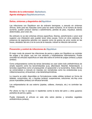 Nombre de la enfermedad: Dipiladiasis.
Agente etiológico:Dipylidiumcaninum.

Daños, síntomas y diagnóstico deDipylidium
Las infecciones con Dipylidium son de ordinario beningnas, a menudo sin síntomas
clínicos, tanto para las mascotas como para los seres humanos. Si el número de tenias
aumenta, pueden producir diarrea o estreñimiento, pérdida de peso, inquietud, dolores
abdominales, picor anal, etc.
De ordinario no se dan síntomas clínicos específicos. Diarrea, extreñimiento o picor anal
sugieren una infestación pero pueden tener otras causas. Como en otros cestodos, la
presencia de segmentos grávidos con aspecto como de granos de arroz cocido en las
heces, alrededor del ano o en la cuna de la mascota, indican la infección del animal.

Prevención y control de infecciones de Dipylidium
El mejor modo de prevenir las infecciones de perros y gatos con Dipylidium es controlar
las pulgas y los piojos, que son sus vectores y hospedadores intermediarios. Puede
consultar los artículos específicos en este sitio sobre el control de pulgas (enlace) y piojos
(enlace).
Como antiparasitarios contra las tenias (tenicidas) se usan sobre todo antihelmínticos de
amplio espectro como los benzimidazoles (p.ej. albendazol, febantel, fenbendazol), o
tenicidas específicos como el praziquantel, el epsiprantel o la bunamidina. Éstos últimos
se comercializan a menudo en mezclas con nematicidas como los endectocidas (p.ej.
milbemicinaoxima), el levamisol, o las tetrahidropirimidinas.
La mayoría se están disponibles en formulaciones orales sólidas (enlace) en forma de
tabletas, comprimidos, etc. o líquidas (enlace): suspensiones, soluciones, etc.Hay unos
pocos inyectables (enlace) con eficacia tenicida.
Los antiparasitarios de uso externo (pipetas, collares, champús, etc.) no controlan las
tenias.
Por ahora no hay ni vacunas ni repelentes contra la tenia del perro u otros gusanos
parásitos de perros y gatos.
Puede interesarle el artículo en este sitio sobre plantas y remedios vegetales
antihelmínticos (enlace).

 