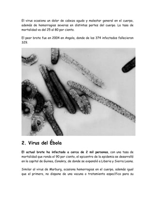 El virus ocasiona un dolor de cabeza agudo y malestar general en el cuerpo, 
además de hemorragias severas en distintas partes del cuerpo. La tasa de 
mortalidad va del 25 al 80 por ciento. 
El peor brote fue en 2004 en Angola, donde de los 374 infectados fallecieron 
329. 
2. Virus del Ébola 
El actual brote ha infectado a cerca de 2 mil personas, con una tasa de 
mortalidad que ronda el 90 por ciento, el epicentro de la epidemia se desarrolló 
en la capital de Guinea, Conakry, de donde se expandió a Liberia y Sierra Leona. 
Similar al virus de Marburg, ocasiona hemorragias en el cuerpo, además igual 
que el primero, no dispone de una vacuna o tratamiento específico para su 
 