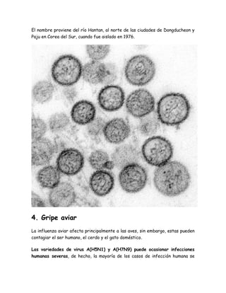 El nombre proviene del río Hantan, al norte de las ciudades de Dongducheon y 
Paju en Corea del Sur, cuando fue aislado en 1976. 
4. Gripe aviar 
La influenza aviar afecta principalmente a las aves, sin embargo, estas pueden 
contagiar el ser humano, el cerdo y el gato doméstico. 
Las variedades de virus A(H5N1) y A(H7N9) puede ocasionar infecciones 
humanas severas, de hecho, la mayoría de los casos de infección humana se 
 