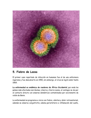 5. Fiebre de Lassa 
El primer caso reportado de infección en humanos fue el de una enfermera 
nigeriana y fue descubierto en 1950, sin embargo, el virus se logró aislar hasta 
1969. 
La enfermedad es endémica de roedores de África Occidental, por ende los 
países más afectados son Guinea, Liberia y Sierra Leona, el contagio se da por 
el contacto directo con enseres domésticos contaminados por excremento de 
ratón de Benin. 
La enfermedad es progresiva e inicia con fiebre, vómitos y dolor retroesternal, 
además se observa conjuntivitis, edema periorbitario e inflamación del cuello, 
 
