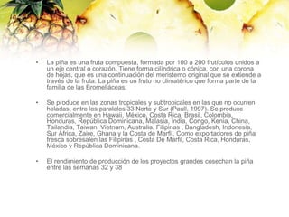 Enfermedades postcosecha .pptx