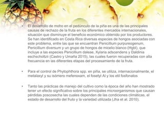 Enfermedades postcosecha .pptx