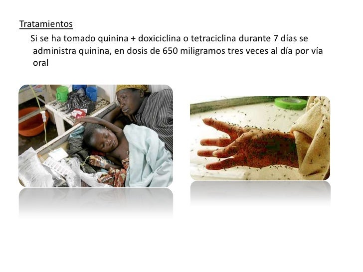 Enfermedades producidas por bacterias