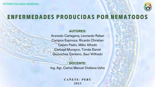 FITOPATOLOGÍA GENERAL
E N F E R M E D A D E S P R O D U C I D A S P O R N E M A T O D O S
AUTORES:
Acevedo Cartagena, Leonardo Rafael
Campos Espinoza, Ricardo Christian
Calixto Padin, Milko Alfredo
Carbajal Munayco, Tomás Daniel
Goicochea Centeno, Saul Wilfredo
DOCENTE:
Ing. Agr. Carlos Manuel Orellana Uzho
C A Ñ E T E - P E R Ú
2 0 2 3
 