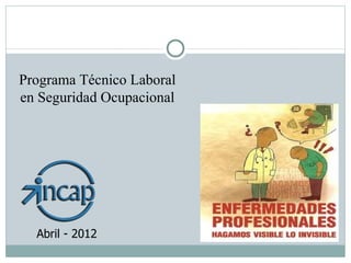 Programa Técnico Laboral
en Seguridad Ocupacional




  Abril - 2012
 