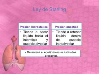 Ley de Starling
Presión hidrostática
• Tiende a sacar
liquido hacia el
intersticio y
espacio alveolar
Presión oncotica
• Tiende a retener
liquido dentro
del espacio
intraalveolar
 Determina el equilibrio entre estas dos
presiones.
 