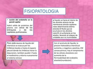 • Lesión del endotelio en la
pared capilar
habrá salida de proteínas del
plasma con cerca de los
brônquios y de los
capilares pulmonares.
FISIOPATOLOGIA
Pero este exceso de líquido del
intersticio se evacua por los
linfáticos locales o hasta el espacio
pleural donde los linfaticos haran la
depuracion, tambien puede ir hasta
el mediastino y retorna nuevamente
al sistema venoso
Con el acúmulo de líquido, la
presion hidrostática intersticial
aumenta, y negativa a positiva, EM
consecuenncia, hay el rompimento
de las células alveolares con
aumento de la
Permeabilidad del endotelio
alveolar(inundacion)
el líquido va hacia el interior de
los alvéolos através de las
membranas alvéolo-capilares
rotas determinando edema
alveolar.El fluido que se
acumula en los alvéolos
reduCE el surfactante en los
alvelos, llevando al colapso de
unidades aun no inumndadas
 