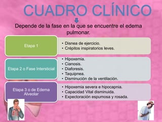 • Disnea de ejercicio.
• Crépitos inspiratorios leves.
Etapa 1
• Hipoxemia.
• Cianosis.
• Diaforesis.
• Taquipnea.
• Disminución de la ventilación.
Etapa 2 o Fase Intersticial
• Hipoxemia severa e hipocapnia.
• Capacidad Vital disminuida.
• Expectoración espumosa y rosada.
Etapa 3 o de Edema
Alveolar
CUADRO CLÍNICO
Depende de la fase en la que se encuentre el edema
pulmonar.
 