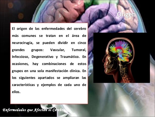 Enfermedades que afectan el Cerebro