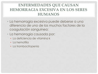 ENFERMEDADES QUE CAUSAN
HEMORRAGIA EXCESIVA EN LOS SERES
HUMANOS
• La hemorragia excesiva puede deberse a una
diferencia de uno de los muchos factores de la
coagulación sanguínea:
• La hemorragia causada por:
• La deficiencia de vitamina k
• La hemofilia
• La trombocitopenia
 