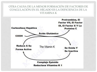 OTRA CAUSA DE LA MENOR FORMACIÓN DE FACTORES DE
COAGULACIÓN EN EL HÍGADO ES LA DEFICIENCIA DE LA
VITAMINA K
 
