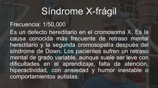 Síndrome X-frágil
Frecuencia: 1/50,000
Es un defecto hereditario en el cromosoma X. Es la
causa conocida más frecuente de retraso mental
hereditario y la segunda cromosopatía después del
síndrome de Down. Los pacientes sufren un retraso
mental de grado variable, aunque suele ser leve con
dificultades en el aprendizaje, falta de atención,
hiperactividad, con ansiedad y humor inestable o
comportamientos autistas.
 
