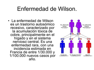 Enfermedad de Wilson.
• La enfermedad de Wilson
es un trastorno autosómico
recesivo, caracterizado por
la acumulación tóxica de
cobre, principalmente en el
hígado y en el sistema
nervioso central. Es una
enfermedad rara, con una
incidencia estimada en
Francia de entre 1/30.000 y
1/100.000 nuevos casos por
año.

 