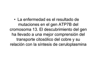 • La enfermedad es el resultado de
mutaciones en el gen ATP7B del
cromosoma 13. El descubrimiento del gen
ha llevado a una mejor comprensión del
transporte citosólico del cobre y su
relación con la síntesis de ceruloplasmina

 