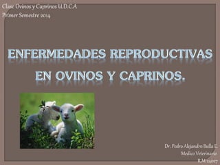 Dr. Pedro Alejandro Bulla E.
Medico Veterinario
R.M 24027
Clase Ovinos y Caprinos U.D.C.A
Primer Semestre 2014
 