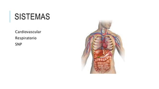 SISTEMAS 
Cardiovascular 
Respiratorio 
SNP 
 