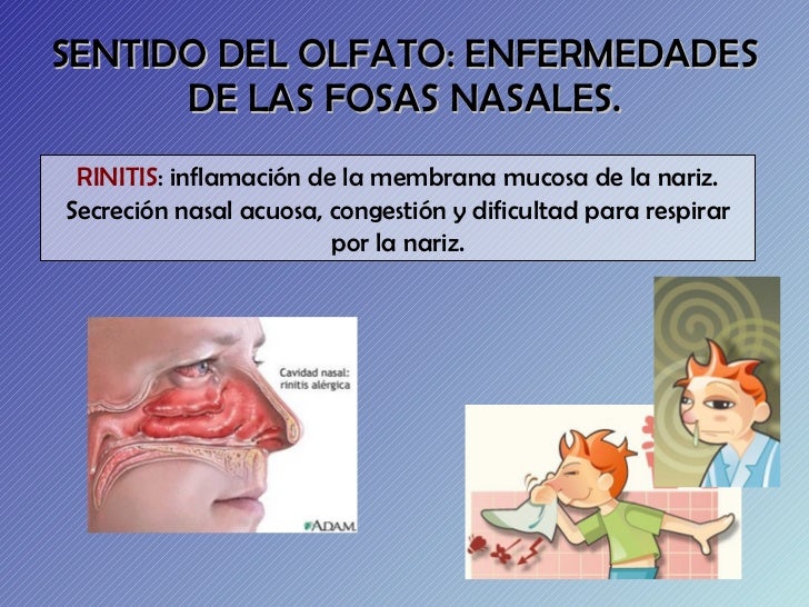 Enfermedades órganos de los sentidos