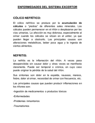 ENFERMEDADES DEL SISTEMA EXCERTOR
CÓLICO NEFRÍTICO:
El cólico nefrítico se produce por la acumulación de
cálculos o “piedras” de diferentes sales minerales. Los
cálculos pueden permanecer en el riñón o desplazarse por las
vías urinarias. La afección es muy dolorosa, especialmente al
orinar cuando los cálculos se sitúan en el uréter, ya que
pueden llegar a obstruirlo. Las principales causas son
alteraciones metabólicas, beber poca agua y la ingesta de
ciertos alimentos.
NEFRITIS:
La nefritis es la inflamación del riñón. A veces pasa
desapercibida sin causar dolor y otras veces se manifiesta
claramente. Puede ser temporal o crónica, en cuyo caso
puede originar la pérdida de la salud del riñón.
Sus síntomas son dolor en la espalda, nauseas, mareos,
fiebre, dolor al orinar, necesidad de orinar con frecuencia, etc.
Las principales causas que pueden producir inflamaciones en
los riñones son:
-Ingestión de medicamentos o productos tóxicos
-Enfermedades
-Problemas inmunitarios
-Traumatismos
 