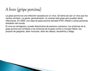 La gripe porcina es una infección causada por un virus. Se llama así por un virus que los
cerdos contraen. La gente, generalmente, no contrae esta gripe pero pueden darse
infecciones. En 2009, una cepa de gripe porcina llamada H1N1 infectó a varias personas
alrededor del mundo.
El virus es contagioso y puede diseminarse de persona a persona. Los síntomas de la
gripe porcina son similares a los síntomas de la gripe común e incluyen fiebre, tos,
picazón de garganta, dolor muscular, dolor de cabeza, escalofríos y fatiga.
 