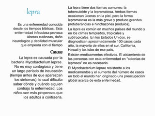 lepra
Es una enfermedad conocida
desde los tiempos bíblicos. Esta
enfermedad infecciosa provoca
úlceras cutáneas, daño
neurológico y debilidad muscular
que empeora con el tiempo
Causas
La lepra es causada por la
bacteria Mycobacterium leprae.
No es muy contagiosa y tiene
un largo período de incubación
(tiempo antes de que aparezcan
los síntomas), lo cual dificulta
saber dónde y cuándo alguien
contrajo la enfermedad. Los
niños son más propensos que
los adultos a contraerla.
La lepra tiene dos formas comunes: la
tuberculoide y la lepromatosa. Ambas formas
ocasionan úlceras en la piel, pero la forma
lepromatosa es la más grave y produce grandes
protuberancias e hinchazones (nódulos).
La lepra es común en muchos países del mundo y
en los climas templados, tropicales y
subtropicales. En los Estados Unidos, se
diagnostican aproximadamente 100 casos cada
año, la mayoría de ellos en el sur, California,
Hawaii y las islas de ese país.
Existen medicamentos efectivos. El aislamiento de
las personas con esta enfermedad en "colonias de
leprosos" no es necesario.
El Mycobacterium leprae resistente a los
medicamentos y el aumento del número de casos
en todo el mundo han originado una preocupación
global acerca de esta enfermedad.
 