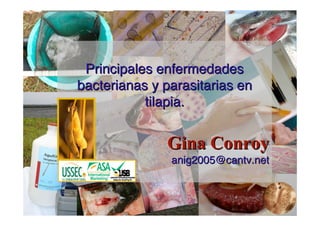 Principales enfermedades
bacterianas y parasitarias en
           tilapia.


              Gina Conroy
               anig2005@cantv.net
 