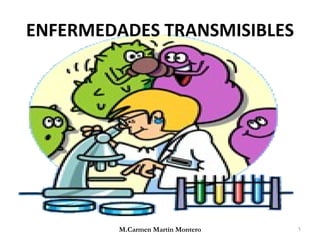 ENFERMEDADES TRANSMISIBLES M.Carmen Martín Montero 