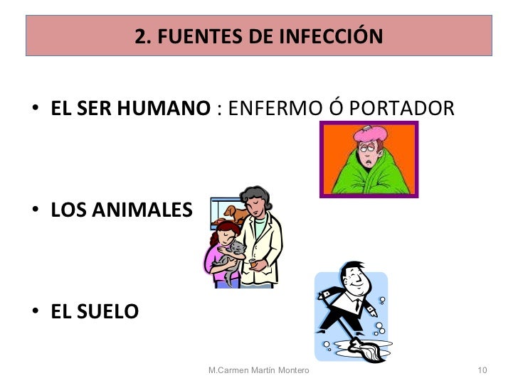 Como kakaet el perrito si a él las lombrices