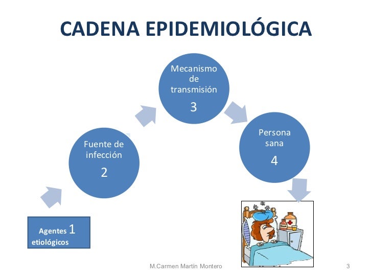 cadena epidemiologica bacteriana enfermedades transmisibles cadena epidemiologica bacteriana enfermedades transmisibles