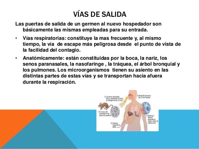 Enfermedades transmisibles
