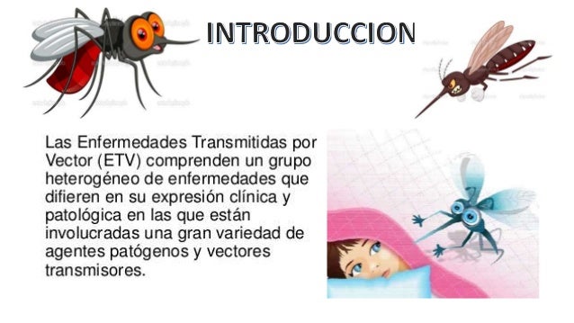 Download Enfermedades transmitidas por vectores