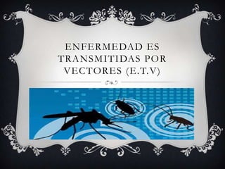 ENFERMEDAD ES
TRANSMITIDAS POR
VECTORES (E.T.V)

 