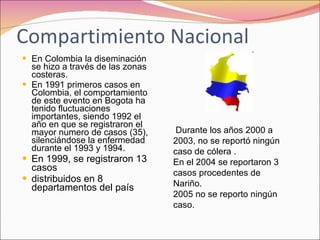 Compartimiento Nacional En Colombia la diseminación se hizo a través de las zonas costeras. En 1991 primeros casos en Colombia, el comportamiento de este evento en Bogota ha tenido fluctuaciones importantes, siendo 1992 el año en que se registraron el mayor numero de casos (35), silenciándose la enfermedad durante el 1993 y 1994.  En 1999, se registraron 13 casos distribuidos en 8 departamentos del país Durante los años 2000 a 2003, no se reportó ningún caso de cólera . En el 2004 se reportaron 3 casos procedentes de Nariño. 2005 no se reporto ningún caso. 